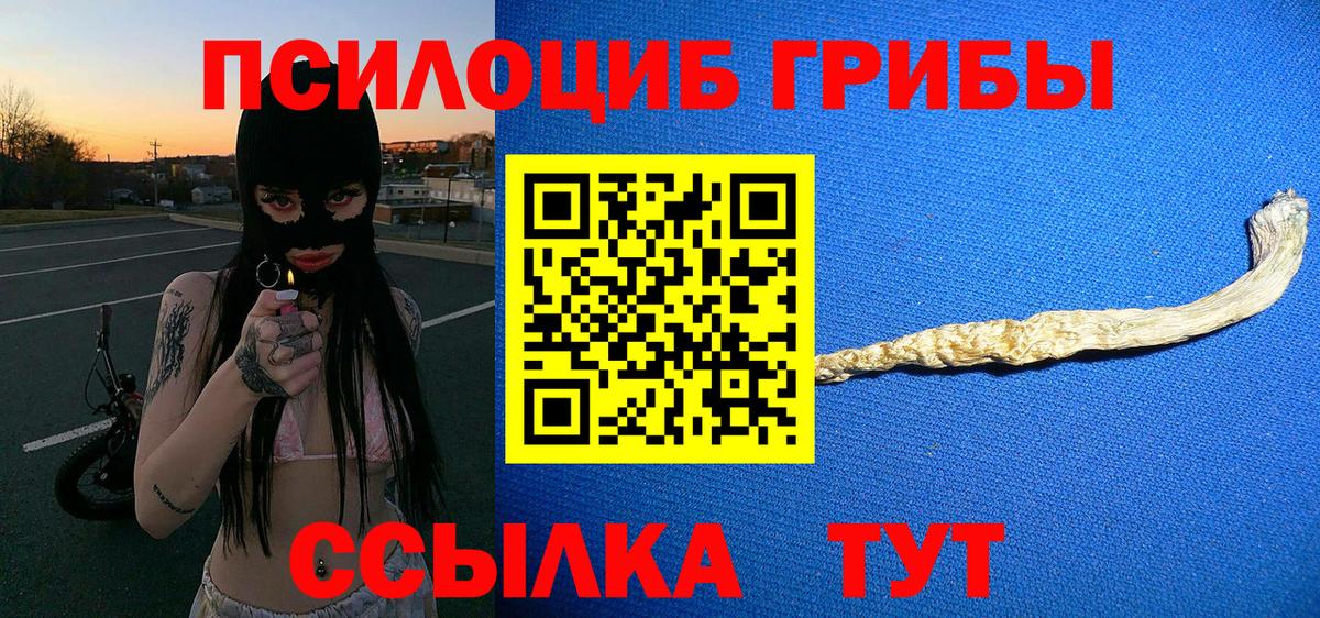 Псилоцибиновые грибы Psilocybe Сибай