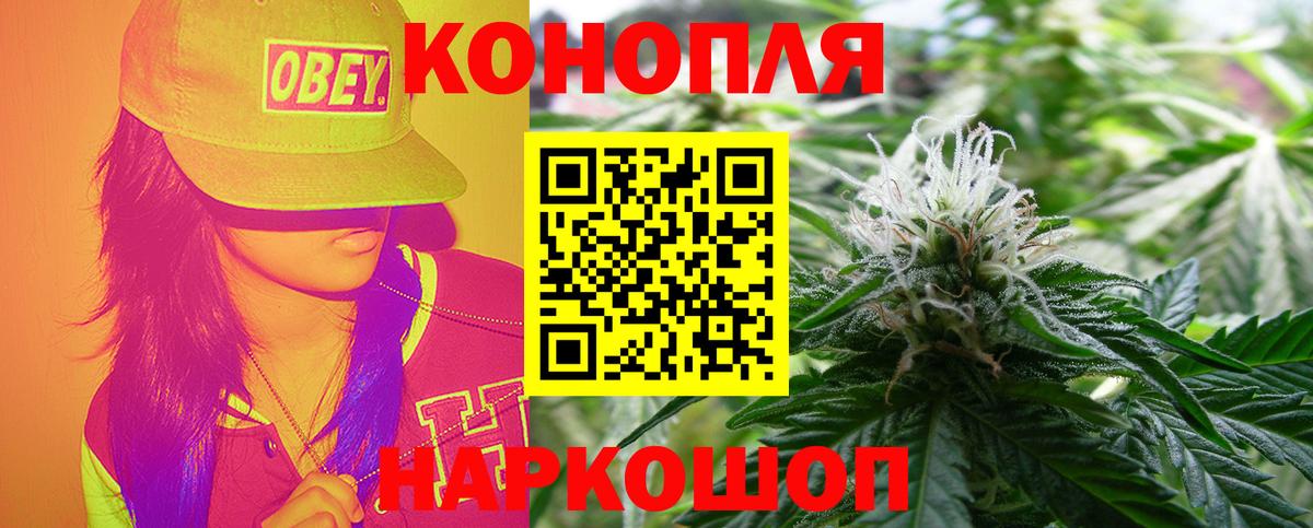 Бошки Шишки тримм Сибай